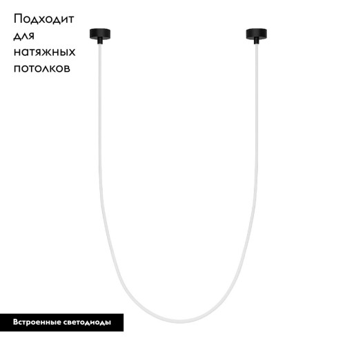 Подвесной светильник Arlight SP-TROPIC-SURFACE-R18-L2500-36W Day4000 (BK, 360 deg, 230V) 043395