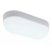 Уличный потолочный светильник Ambrella Light Street ST8666