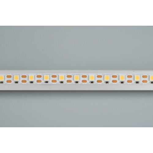 Светодиодная лента Arlight RT-B72-10mm 12V Day4000-CX1 (15.6 W/m, IP20, 5060, 5m) 016841(2)