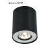 Потолочный светильник Arte Lamp Falcon A5633PL-1BK