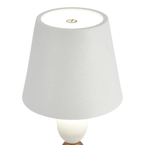 Настольная лампа ST Luce Ease SL1011.514.01