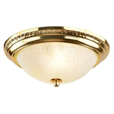 Потолочный светильник Arte Lamp 28 A3013PL-2GO