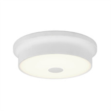 Потолочный светодиодный светильник Citilux Фостер-2 CL706210