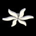 Потолочный светильник Adilux 0967