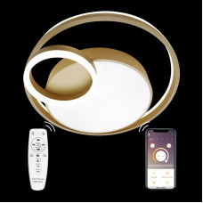 Потолочная люстра Natali Kovaltseva LED LAMPS 81305