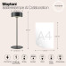 Аккумуляторная настольная лампа Maytoni AI Collaboration MOD229TL-L3B3K2