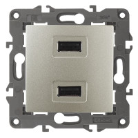 Розетка USB Эра 14-4110-04 Б0034371