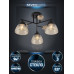Потолочная люстра Seven Fires Aislin SF3375/3C-BK-WD-AM
