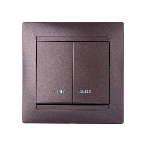 Выключатель двухклавишный с подсветкой Лама TDM Electric SQ1815-0505