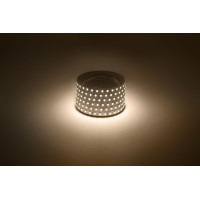 Светодиодная лента Эра 12В 2835 9,6Вт/м 3000K 5м IP20 LS2835-120LED-IP20-WW Б0035596