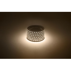 Светодиодная лента Эра 12В 2835 9,6Вт/м 3000K 5м IP20 LS2835-120LED-IP20-WW Б0035596