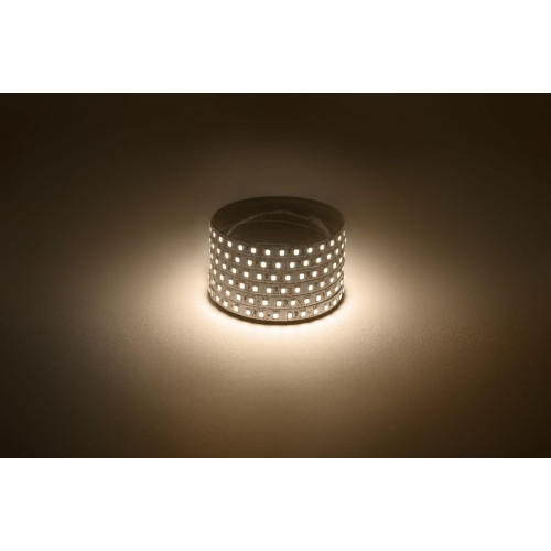 Светодиодная лента Эра 12В 2835 9,6Вт/м 3000K 5м IP20 LS2835-120LED-IP20-WW Б0035596