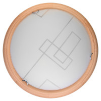Настенно-потолочный светодиодный светильник Toplight Debora TL9540Y-00PN