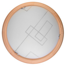 Настенно-потолочный светодиодный светильник Toplight Debora TL9540Y-00PN