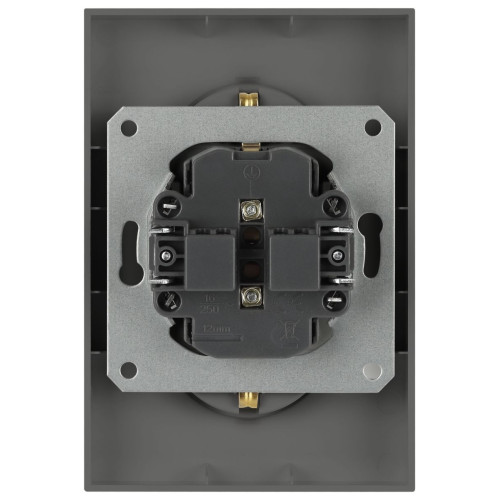 Розетка Эра Arktik 16-2105-06 двойная с заземлением 2X2P+E Schuko со шторками 16А-250В графит Б0070459