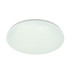 Потолочный светильник Escada 10213/SG LED