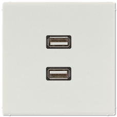 Розетка USB Jung MALS1153LG