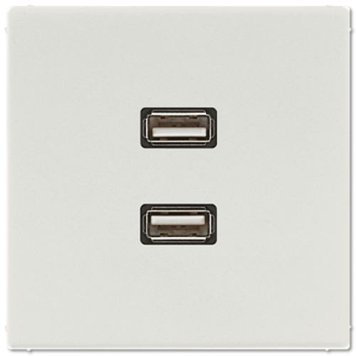Розетка USB Jung MALS1153LG