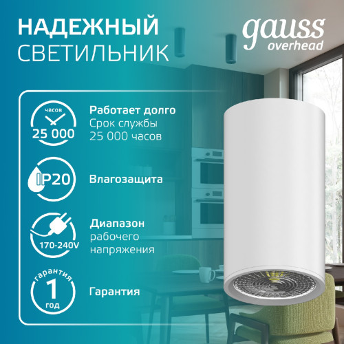 Накладной светильник Gauss Basic HD060
