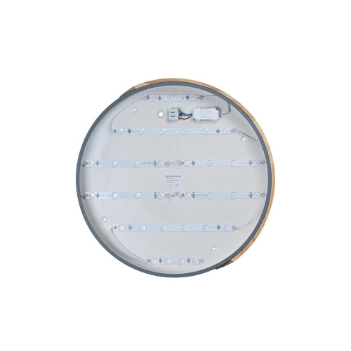 Потолочный светильник Loft IT AXEL 10004/36 Grey