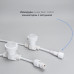 Гирлянда Белт-Лайт Laitcom (LTC) BL10m/50L-8