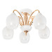 Потолочная люстра MyFar Nika MR1671-5C