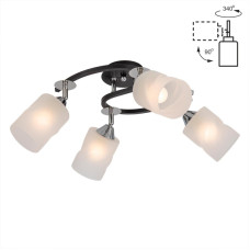 Потолочная люстра Citilux Сиерра CL119241