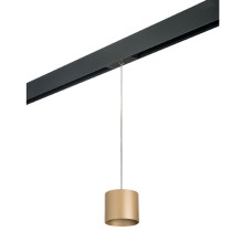Трековый однофазный светильник Lightstar Rullo (213490+595887) PRORP3490