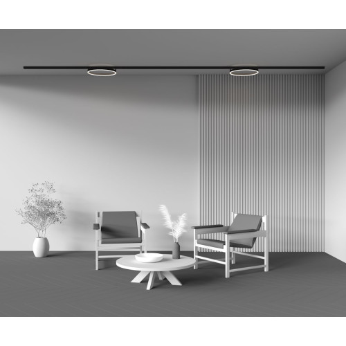 Трековый магнитный светильник Maytoni Rim TR227-2-24W4K-B
