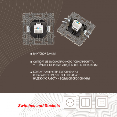 Розетка RJ45 Arte Milano 217.45-1.shampan