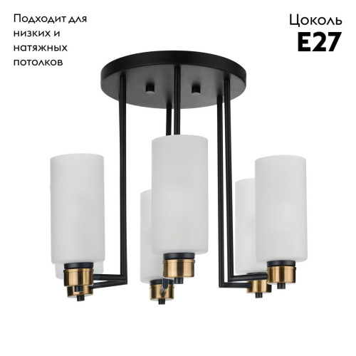 Потолочная люстра 33 Идеи CHN900.06.BL17.ASB-S16WH