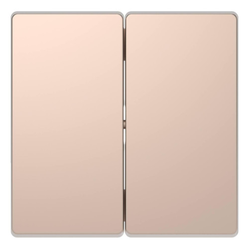 Клавиша двойная Schneider Electric Merten D-Life MTN3400-6051