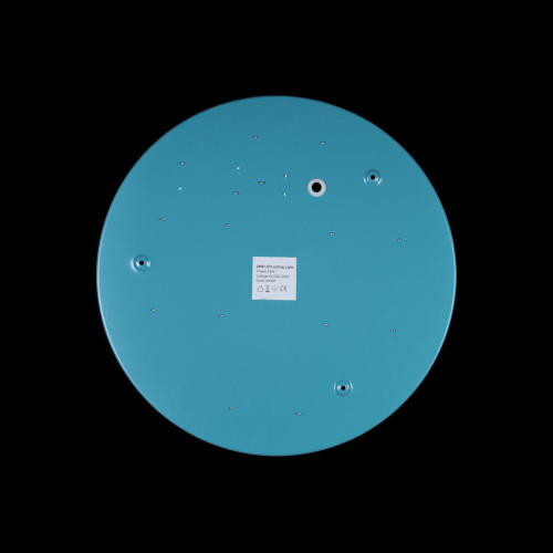 Потолочный светильник Loft IT AXEL 10003/24 Blue