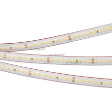 Светодиодная лента Arlight Rtw-ps-a160-10mm 2835 024555(2)
