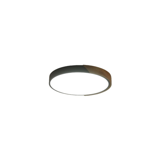 Потолочный светильник Zortes Alberro ZRS.01280.24
