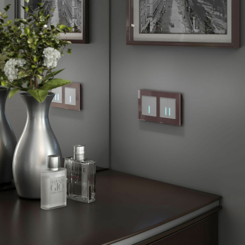 Сенсорный выключатель двухклавишный с подсветкой Werkel 4690389179563 W4520006 Сенсорный выключатель двухклавишный с подсветкой Werkel 4690389179563 W4520006