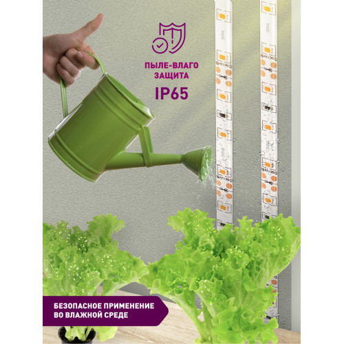 Светодиодная лента для растений Эра 18Вт 1400K 2м IP65 FITO-Strip Light-RB-2m красно-синего спектра Б0057282