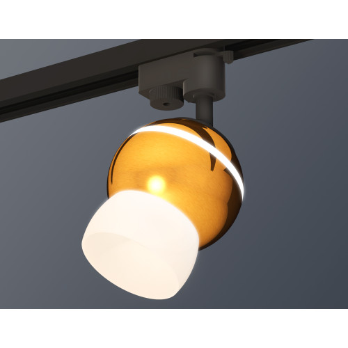 Трековый однофазный светильник Ambrella Light Track System XT1105008 (A2521, C1105, N7177)