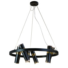 Подвесная люстра Zortes Tweeny ZRS.1828.60