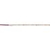 Светодиодная лента Wolta WLS2835-10W/4000/24H120-03