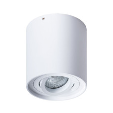 Потолочный светильник Arte Lamp Falcon A5645PL-1WH
