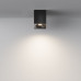 Потолочный светильник Maytoni Sirius C030CL-01B