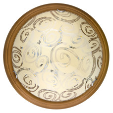 Настенно-потолочный светодиодный светильник Toplight Flora TL9600Y-00OA