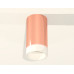 Потолочный светильник Ambrella Light Techno Spot XS6326021 (C6326, N6248)