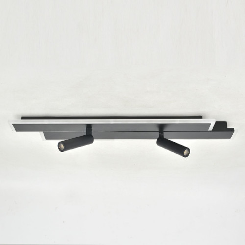Потолочный светильник Escada 20047led 20047SMA/02LED BK