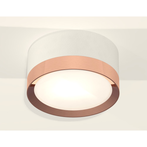 Потолочный светильник Ambrella Light Techno Spot XS8101006 (C8101, N8126)