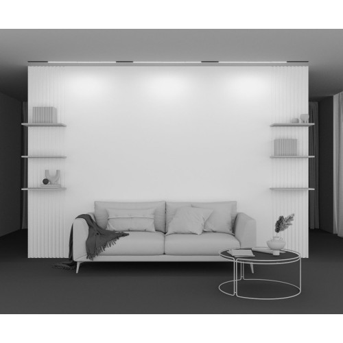 Трековый магнитный светильник Maytoni Basis TR030-2-30W2.7K-B