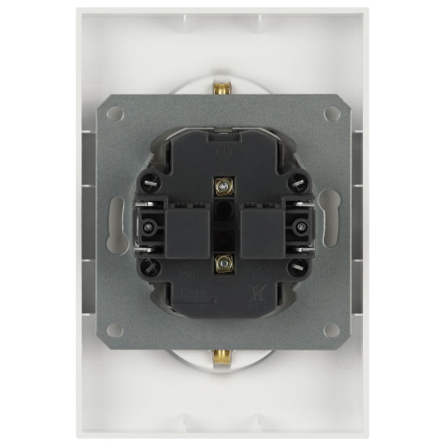 Розетка Эра Arktik 16-2107-04 без заземления двойная 2X2P 16А-250В шампань Б0071684