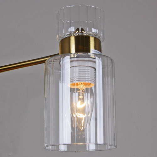 Потолочная люстра Reluce 05570-0.3-06