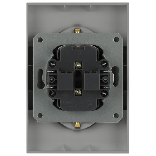 Розетка Эра Arktik 16-2107-03 без заземления двойная 2X2P 16А-250В алюминий Б0071683